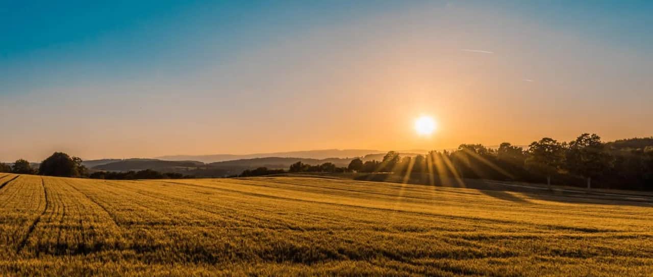 Zagroda edukacyjna: Jak założyć i sfinansować Twój wiejski biznes?